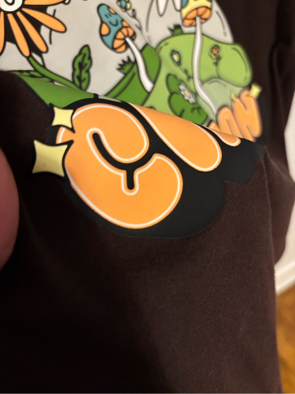 Champion Brown Graphic Tee with Orange Floral Logo - Picture 4 of 6
